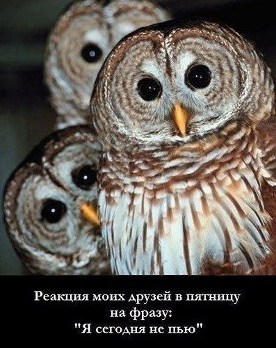 Наташа Иванова | Киев