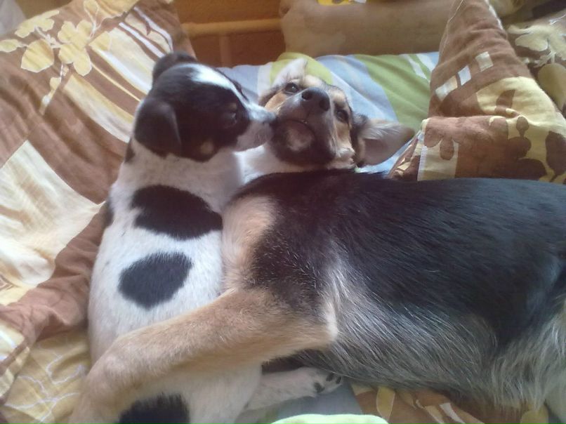 Санька Родионова | Москва