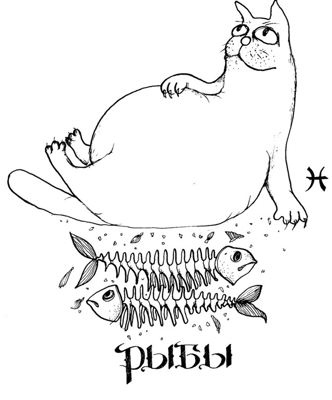 Ольга Прокофьева | Тверь