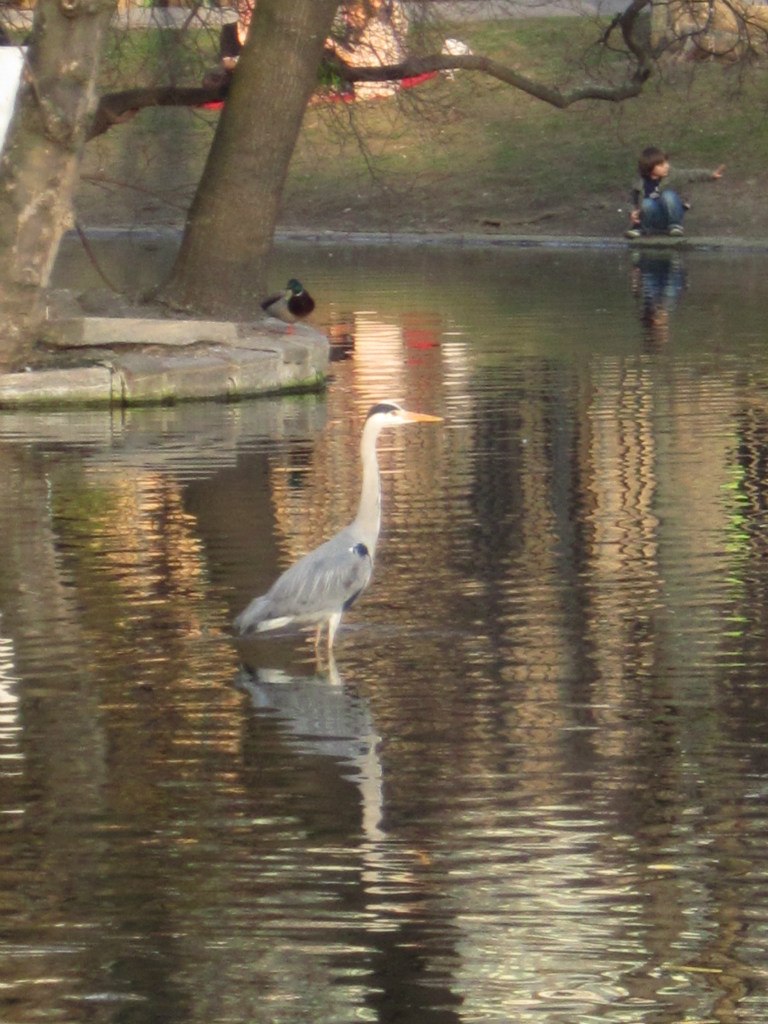 Елизавета Гесс | Москва