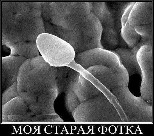 Дмитрий Феоктистов | Салехард