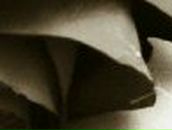 Ольга Суботняя | Царичанка