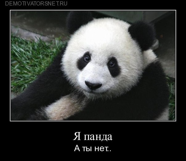 Паша Адамов | Ростов-на-Дону