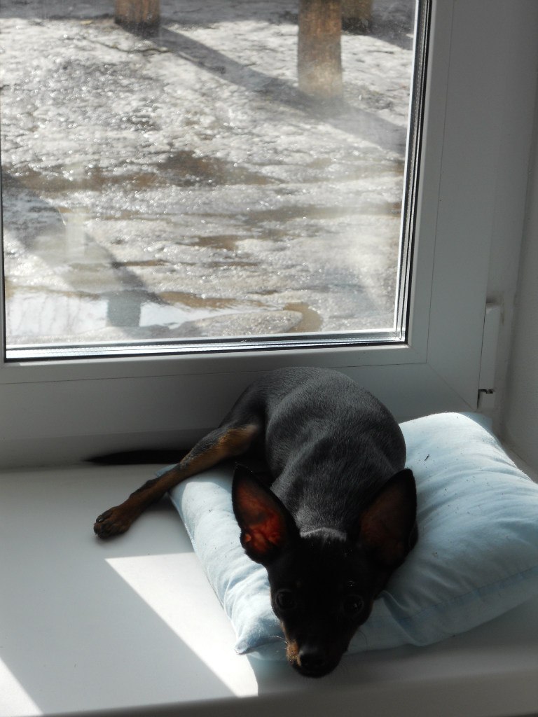 Margo Tixonova | Псков