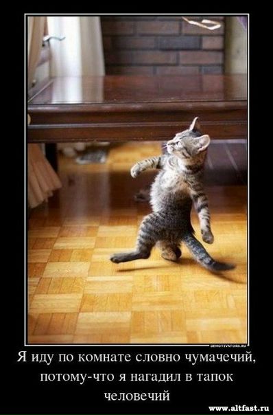 №4, Владимир Черновой, Харьков №4, Владимир Черновой, Харьков