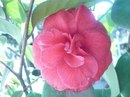 №6 Елена Борисова 29.03.1991: профиль, фото, статус - ВКонтакте