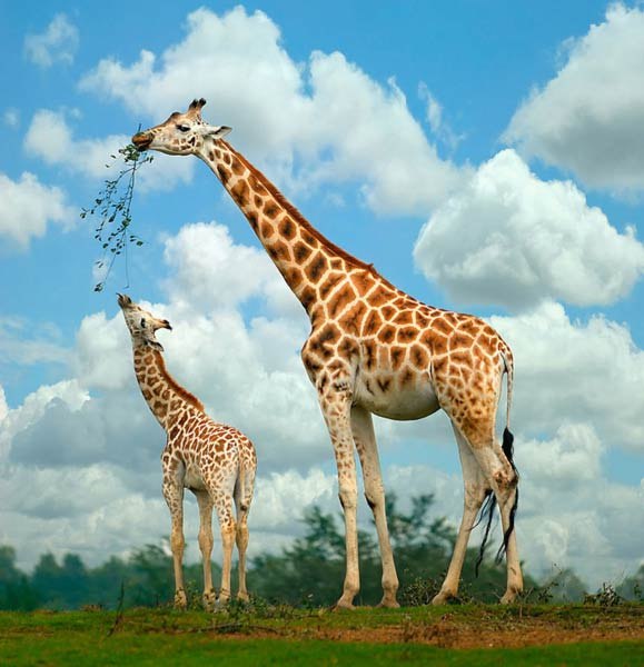 Вадим Гурин =вадимчик= | Санкт-Петербург