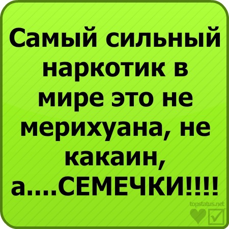 №85, Натали Кузнецова, 37 лет, Луганск №85, Натали Кузнецова, 37 лет, Луганск