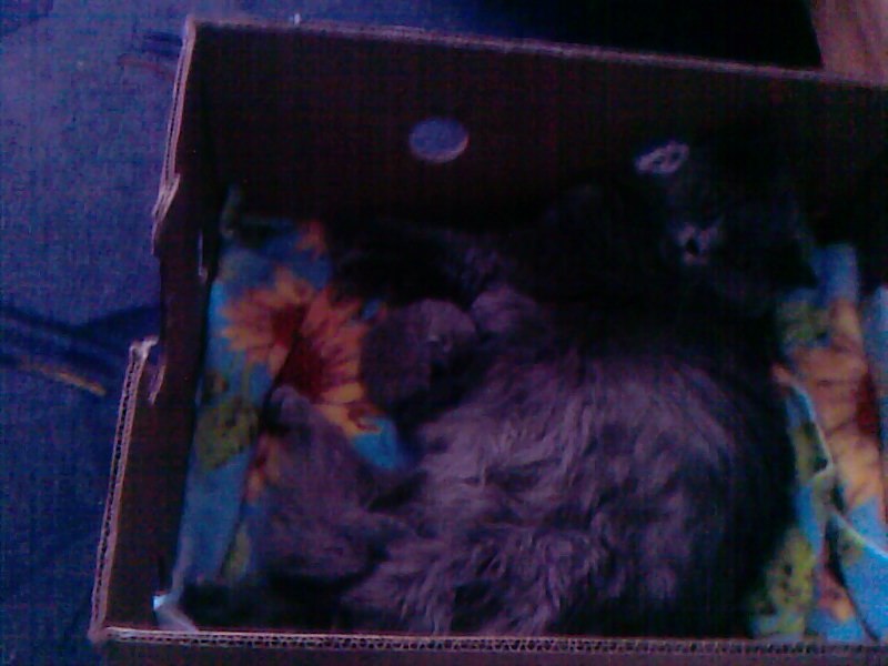 Наташа Крикунова | Горишние Плавни / Комсомольск