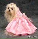 Фотография Ксения Трунева