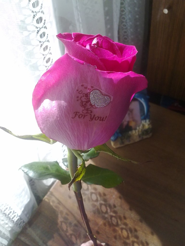 Ирина Панькова | Екатеринбург