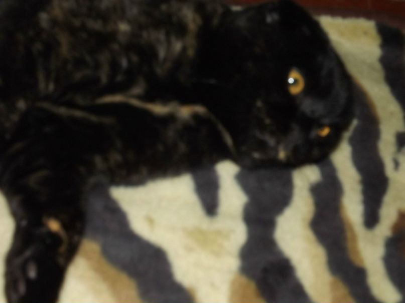 Вася Сазонов Серегович | 