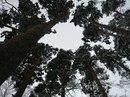 Фотография Татьяна Попова