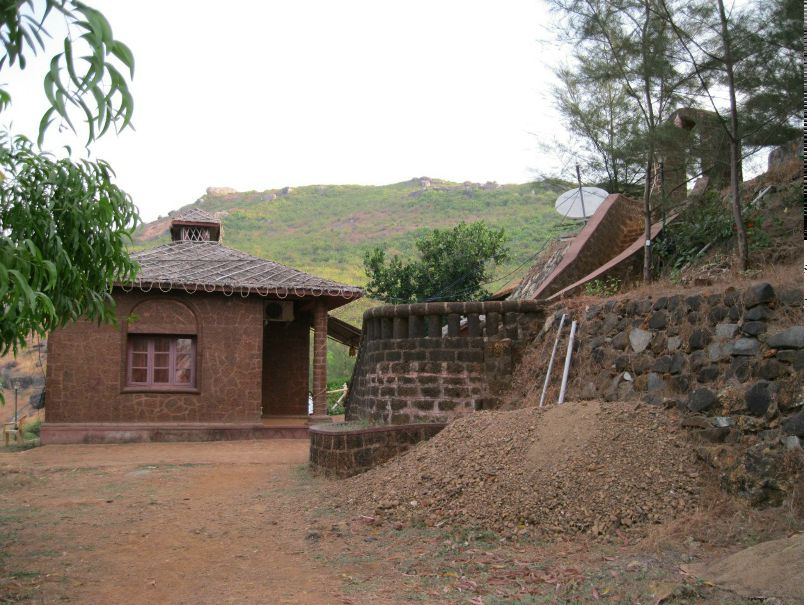 Рина Шилова Кошка | Санкт-Петербург