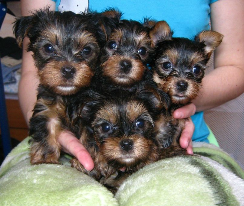 Алина Тухватуллина ♥ alisha ♥ | Салават