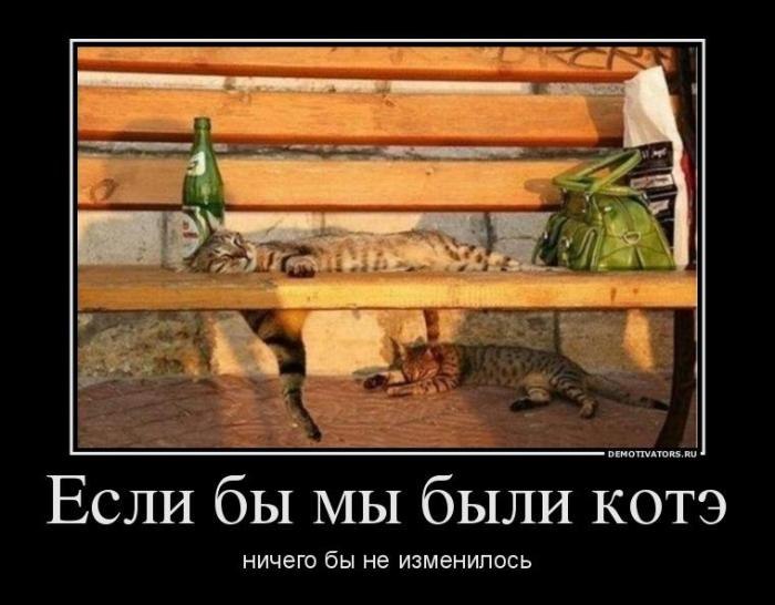 Рамиль Заляев Маратович | Казань