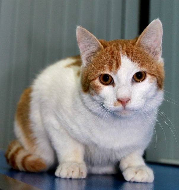 Екатерина Смирнова Sh1Za | Одесса