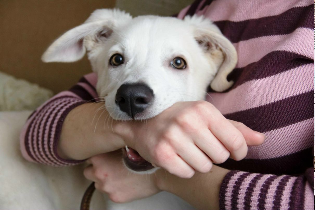 Наталья Лосева | Москва