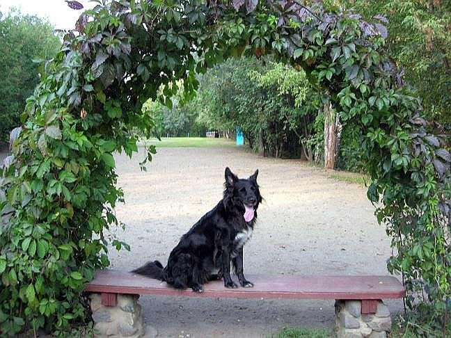 Ирина Чичиканова Олеговна | Москва