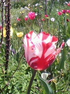 Александр Матюшев | Калининград