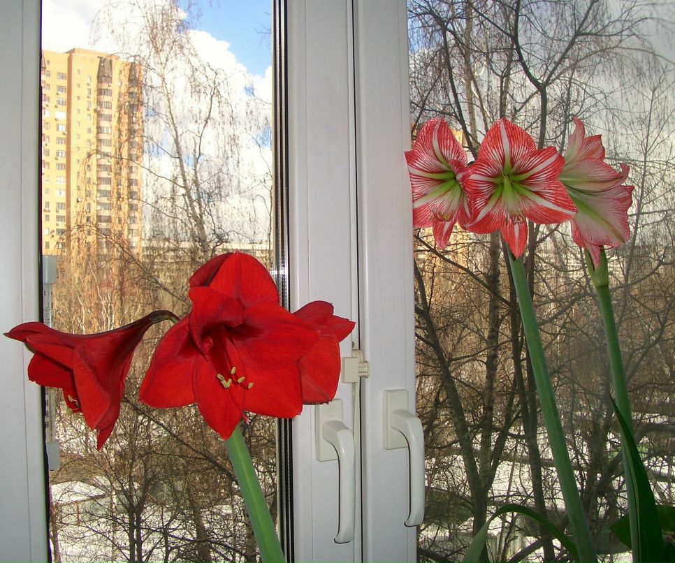 Юлия Заверская | Москва