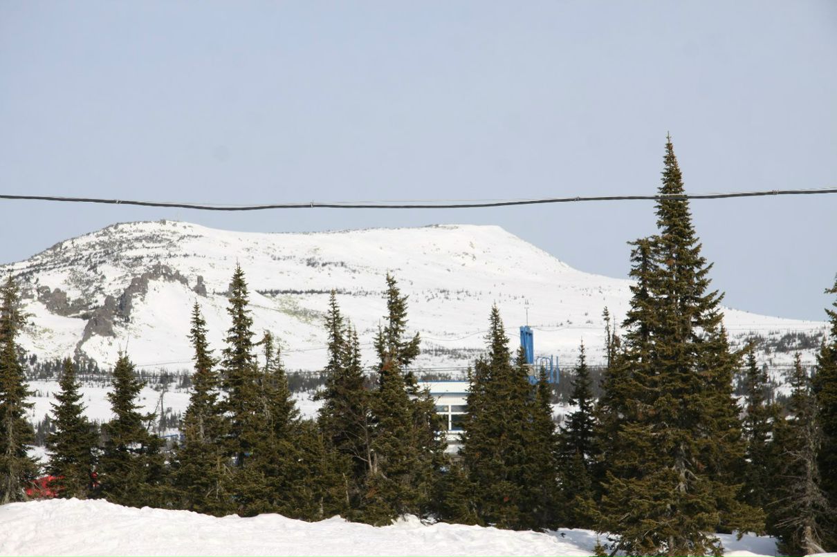 Игорь Грановский | Новосибирск