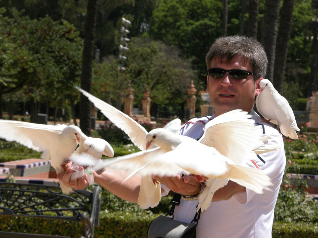 Владимир Гуринович | 