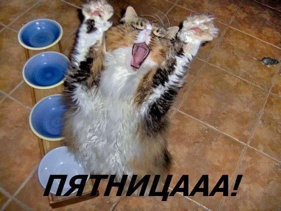 Анна Махняєва | Луцк