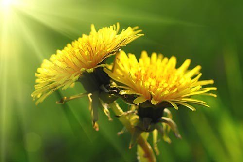 Людмила Куликова | Тамбов