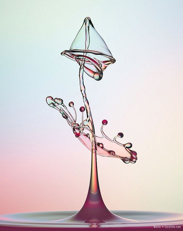 Ольга Галустян | Одесса