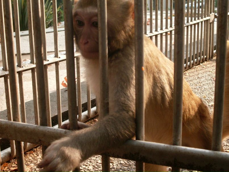 Андрей Шутов | Екатеринбург