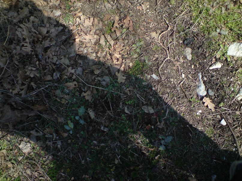 Fotis Fotiadis | Thessaloniki