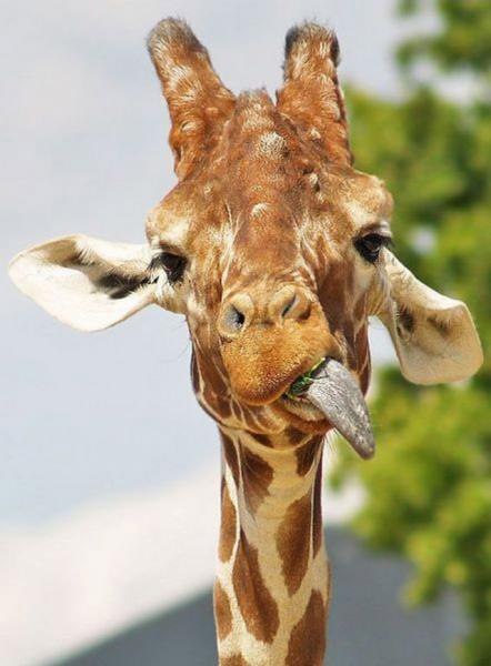 №16, Колька Захаров №16, Колька Захаров