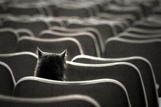 Maria Migal | Санкт-Петербург