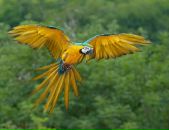 №20 Лия Спиридонова 07.09.1989: профиль, фото, статус - ВКонтакте