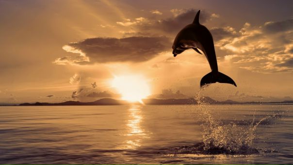 №5, Галина Вашкина №5, Галина Вашкина