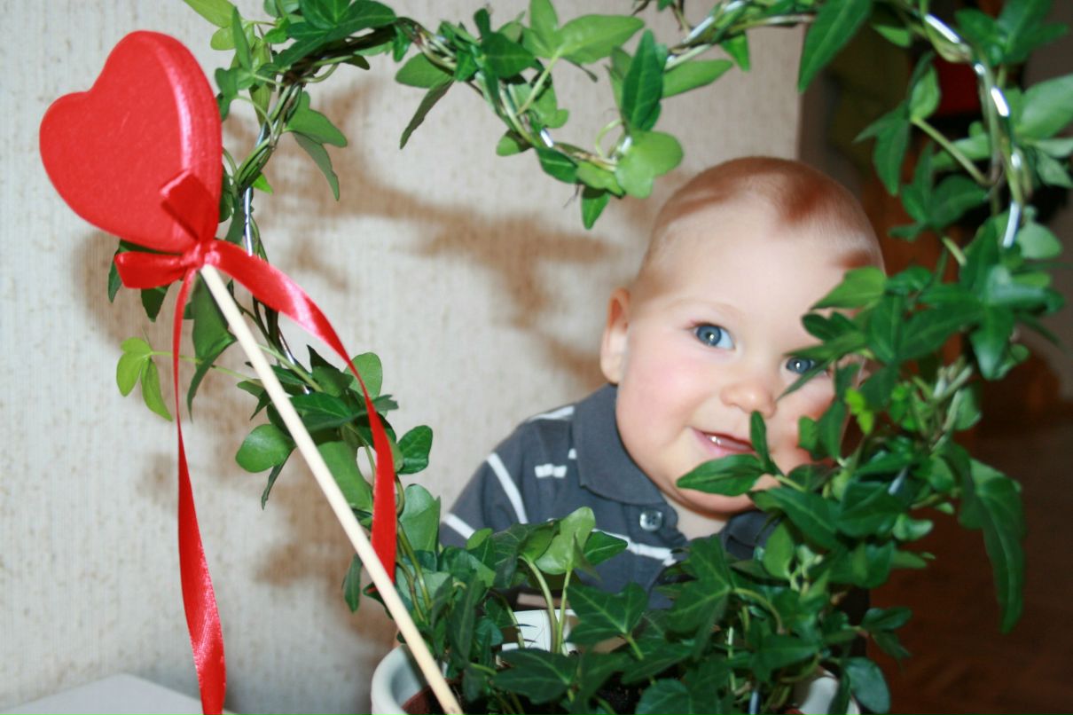 Елена Островская | Петрозаводск