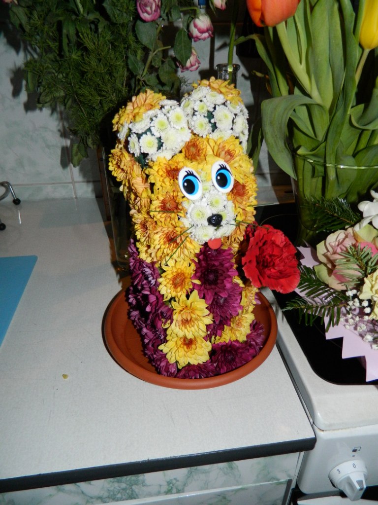 Александра Беляева Alexashka | Санкт-Петербург