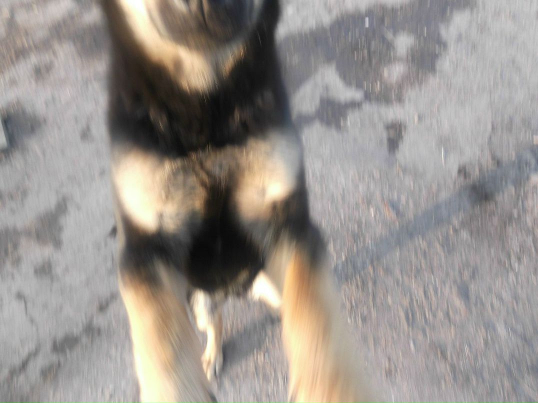 Валерій Ясиновий | Малая Антоновка