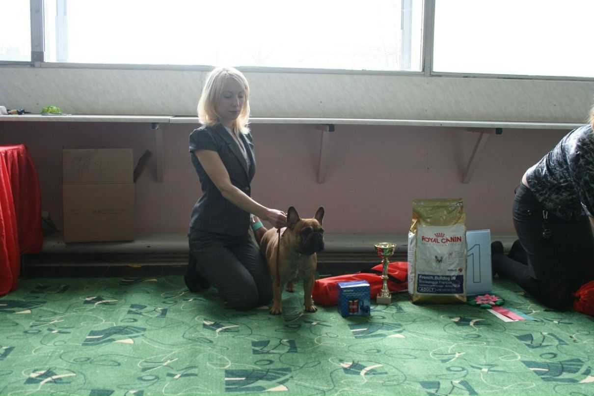 Ирина Лохичева | Череповец