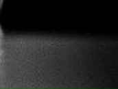 Саша Злобин | 