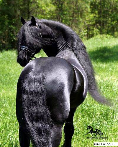 Ульяна Степанова | Санкт-Петербург