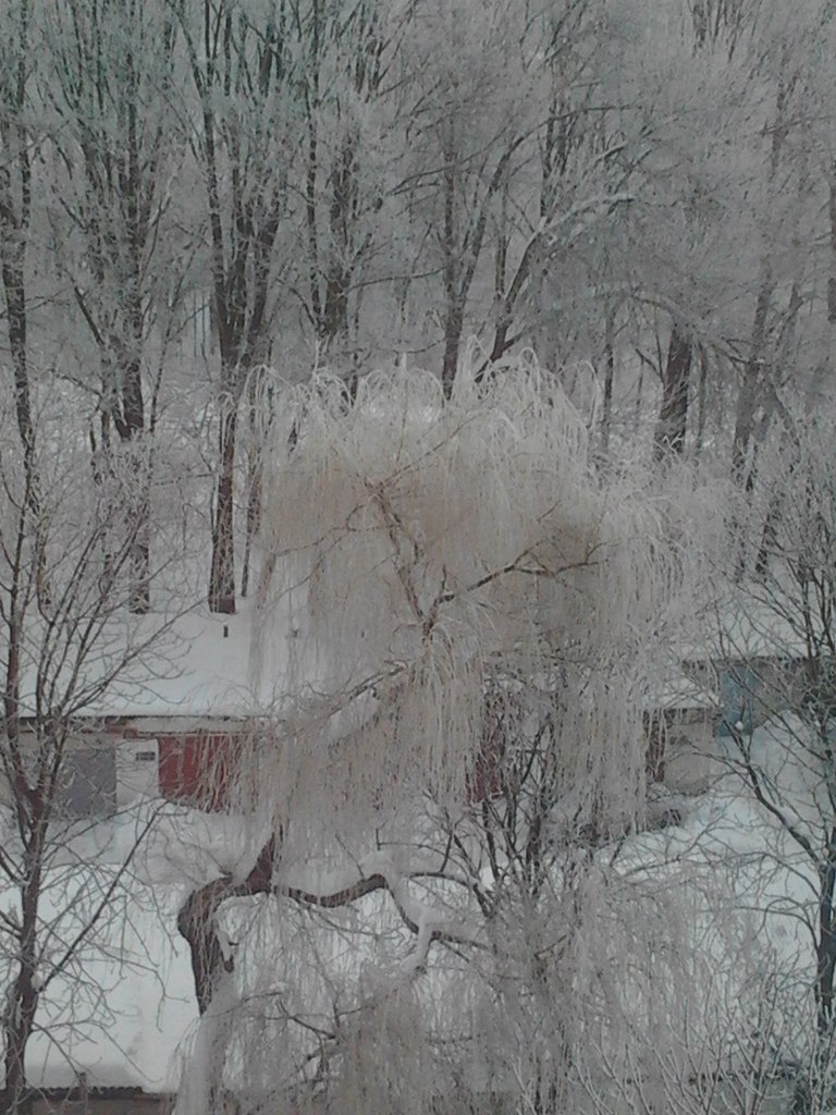 Светлана Котова ღ | Житомир