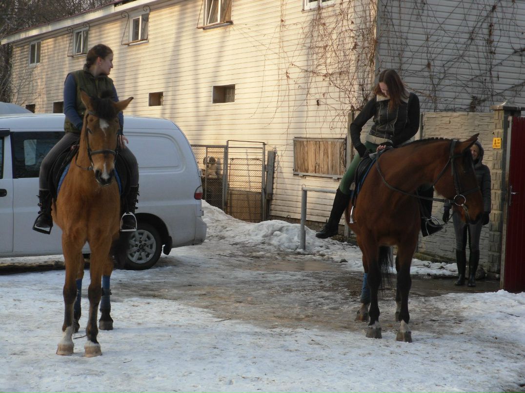 Елизавета Пасичник | Киев