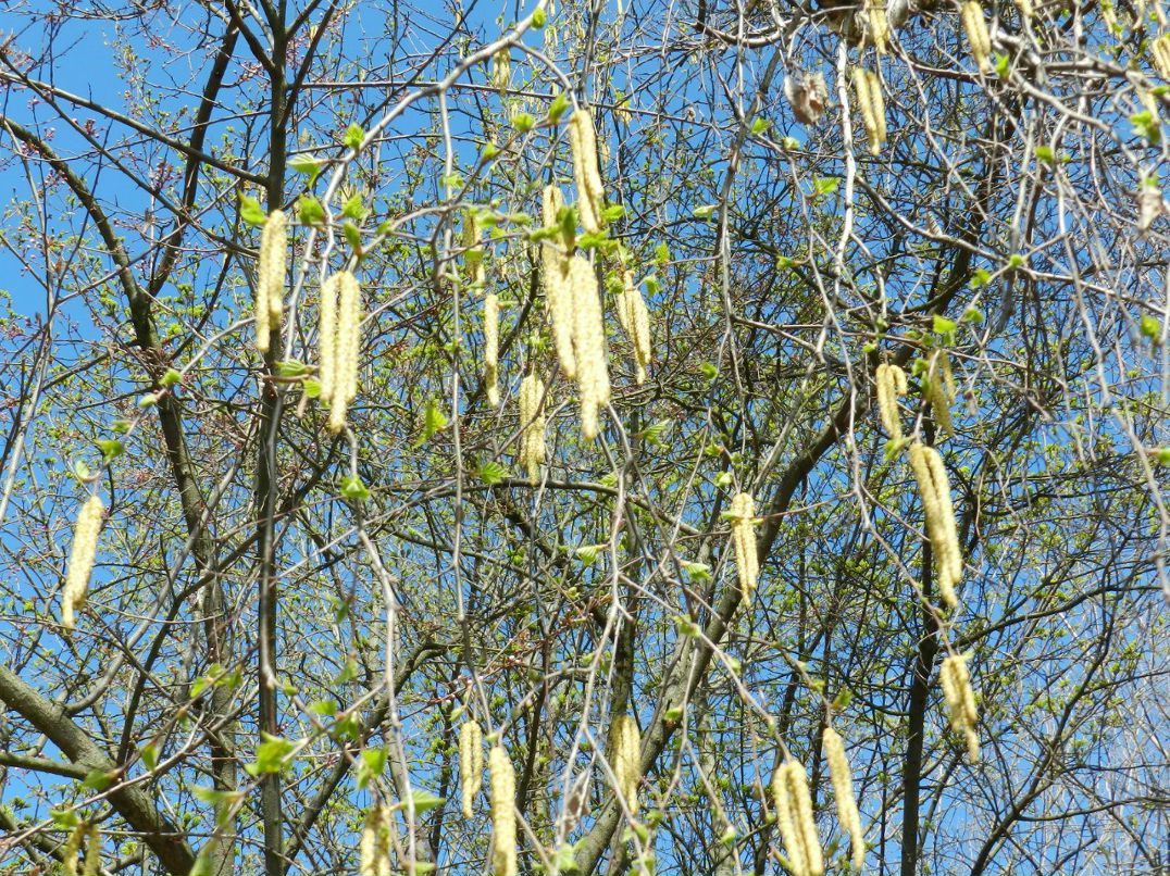 Екатерина Голубева | Одесса