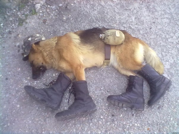 Николай Волочков Потапыч | Запорожье