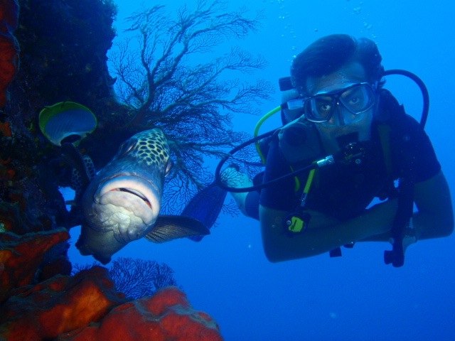 Олег Брюханов | New York City