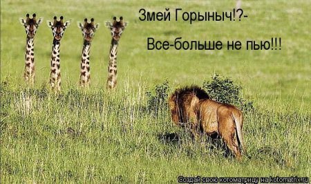 №43, Vitas Dobrovolskis, Zarasai №43, Vitas Dobrovolskis, Zarasai