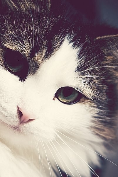 Женек Женёк | Псков