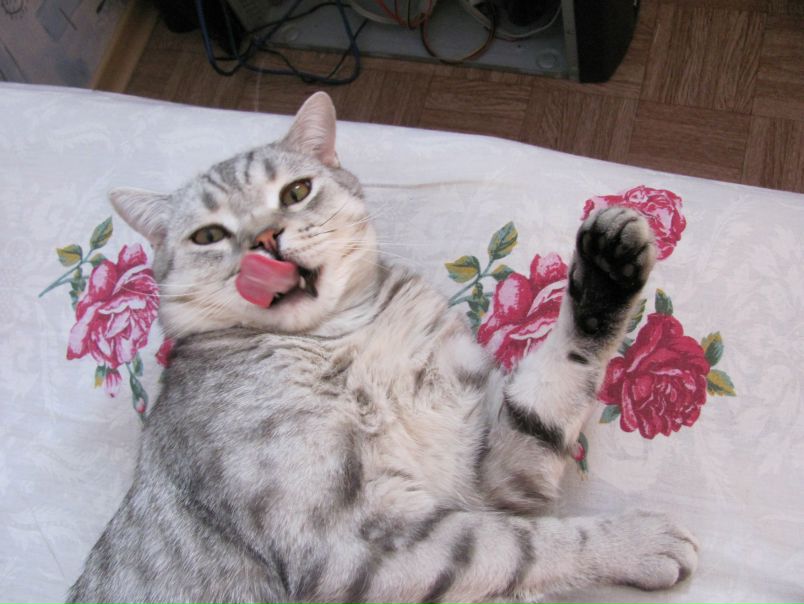 №72, Екатерина Попова, Челябинск №72, Екатерина Попова, Челябинск